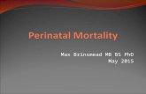 Max Brinsmead MB BS PhD May 2015. Definition The sum of stillbirths and neonatal deaths (in the first week of life for infants weighing >500g (WHO) 400g.