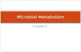 Chapter 5 Microbial Metabolism. Metabolism - all of the chemical reactions within a living organism 1. Catabolism ( Catabolic ) breakdown of complex organic.