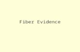 Fiber Evidence. Fibers Example of Locard’s Exchange Principle –All garment surfaces have loose fibers that have been picked up through contact –Most common.