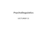Psycholinguistics LECTURE# 11. Psycholinguistics Psychologists have long been interested in language, but psycholinguistics as a field of study did not.