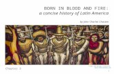 1 BORN IN BLOOD AND FIRE: a concise history of Latin America by John Charles Chasten Chapter 3 © 2011 The Granger Collection. .