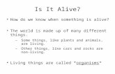 Is It Alive? How do we know when something is alive? The world is made up of many different things. – Some things, like plants and animals, are living.