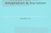 EVOLUTION UNIT Adaptation & Variation Section 7.1.