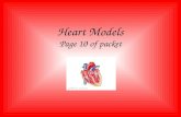 Heart Models Page 10 of packet. External Heart – Anterior HEART CHAMBERS Right Atrium Right Ventricle Apex Left Atrium Left Ventricle.