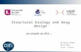 Structural biology and drug design as simple as this … de Ruyck Jérôme 30/11/2015 Lille - France.