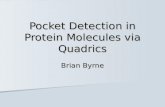 Pocket Detection in Protein Molecules via Quadrics Brian Byrne.