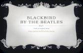 BLACKBIRD BY THE BEATLES Link to original song .