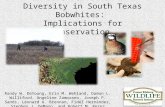 Genetic Structure and Diversity in South Texas Bobwhites: Implications for Conservation Randy W. DeYoung, Erin M. Wehland, Damon L. Williford, Angeline.