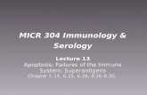 MICR 304 Immunology & Serology Lecture 13 Apoptosis; Failures of the Immune System; Superantigens Chapter 5.15, 6.25, 6.26, 8.26-8.30, Lecture 13 Apoptosis;