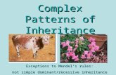 Complex Patterns of Inheritance Exceptions to Mendel’s rules: not simple dominant/recessive inheritance.