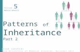 Javad Jamshidi Fasa University of Medical Sciences, November 2014 Session 5 Medical Genetics Patterns of Inheritance Part 2.