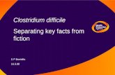 Clostridium difficile Separating key facts from fiction S P Borriello 16.5.08.