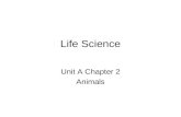 Life Science Unit A Chapter 2 Animals. Animals with Bones Scientists group animals by body parts Some animals have bones inside their bodies. vertebratesThey.