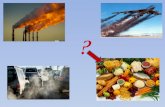 ?. Environmental impact of food Transportation phase Production phase.