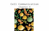 Cell Communication Chapter 9. 2 Overview Communication between cells requires –Ligand – signaling molecule –Receptor protein – molecule to which the receptor.