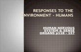 HUMAN NERVOUS SYSTEM & SENSE ORGANS p118 - 157. Sub topic 1: Human nervous system P120 - 121 Nervous systemEndocrine system Stimuli.