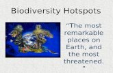 Biodiversity Hotspots “The most remarkable places on Earth, and the most threatened.”