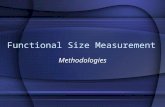Functional Size Measurement Methodologies. What is FSM ? Definitions: Functional Size: A size of the software derived by quantifying the Functional User.
