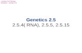 Leaving Cert Biology Genetics – section 2.5 Genetics 2.5 2.5.4( RNA), 2.5.5, 2.5.15.