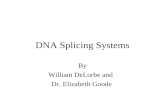 DNA Splicing Systems By William DeLorbe and Dr. Elizabeth Goode.