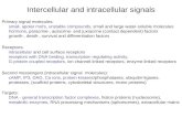 Intercellular and intracellular signals Primary signal molecules: small, apolar mol's, unstable compounds, small and large water-soluble molecules hormons,