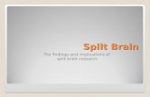 Split Brain The findings and implications of split brain research.