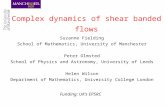 Complex dynamics of shear banded flows Suzanne Fielding School of Mathematics, University of Manchester Peter Olmsted School of Physics and Astronomy,