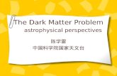 The Dark Matter Problem astrophysical perspectives 陈学雷 中国科学院国家天文台.