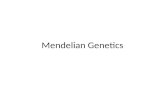 Mendelian Genetics. How Genetics Began A monk named Gregor Mendel first studied how certain traits could be passed on by studying his pea plants. Heredity