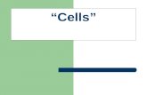 “Cells”. COMMON CELL TRAITS A cell is the smallest unit that is capable of performing life functions.