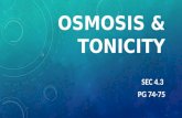OSMOSIS & TONICITY SEC 4.3 PG 74-75. OSMOSIS: -a special case of diffusion involving water -water molecules move across a selectively permeable.