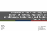 Guidelines for Assessing the Impact of Natural Disasters on Livelihoods, Employment and Social Protection ILO Programme on Crisis Response and reconstruction.