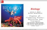 11 Chapter 25 Flowering Plants: Nutrition and Transport Lecture Outline Biology Sylvia S. Mader Michael Windelspecht See separate FlexArt PowerPoint slides.