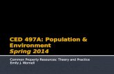 Common Property Resources: Theory and Practice Emily J. Wornell.