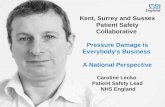 Www.  Kent, Surrey and Sussex Patient Safety Collaborative Pressure Damage is Everybody's Business A National Perspective Caroline Lecko Patient