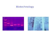 Biotechnology DNA of chromosome Cell containing gene of interest Gene inserted into plasmid Plasmid put into bacterial cell Recombinant DNA (plasmid)