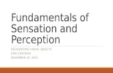 Fundamentals of Sensation and Perception RECOGNIZING VISUAL OBJECTS ERIK CHEVRIER NOVEMBER 23, 2015.
