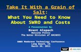 Take It With a Grain of Salt: What You Need to Know About SWRO and Costs A Presentation By A Presentation By: Brent Alspach Malcolm Pirnie The Water Division.