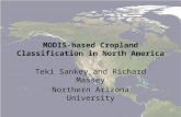 MODIS-based Cropland Classification in North America Teki Sankey and Richard Massey Northern Arizona University.
