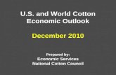 U.S. and World Cotton Economic Outlook December 2010 Prepared by: Economic Services National Cotton Council.