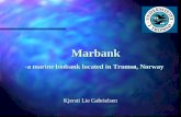 Marbank Marbank -a marine biobank located in Tromsø, Norway Kjersti Lie Gabrielsen.
