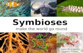 Symbioses make the world go round Joanna Weremijewicz University of Miami.