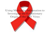 Using Molecular Information to Investigate the Evolutionary Origin of the HIV Virus.