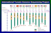 International Tomato Genome Sequencing Project 70 µm 0 µm 123 456789101112 108.0 Mb 85.6 Mb 83.6 Mb 82.1 Mb 80.0 Mb 53.8 Mb 80.3 Mb 64.7 Mb 81.8 Mb 88.5