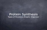 Protein Synthesis Types of Mutations Graphic Organizer.