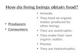 How do living beings obtain food? Producers Consumers Animals. They feed on organic matter produced by other beings. They are autotrophic. They make their.