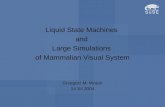 Liquid State Machines and Large Simulations of Mammalian Visual System Grzegorz M. Wójcik 14 XII 2004.
