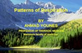 Patterns of Respiration BY AHMAD YOUNES PROFESSOR OF THORACIC MEDICINE Mansoura faculty of medicine.