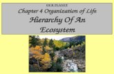 OUR PLANET Chapter 4 Organization of Life Hierarchy Of An Ecosystem.