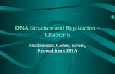 DNA Structure and Replication – Chapter 5 Nucleotides, Genes, Errors, Recombinant DNA.